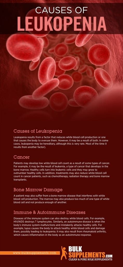 What is Leukopenia: Causes, Symptoms & Treatment