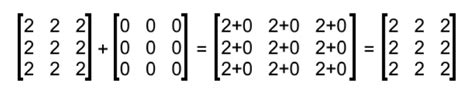 Definition of a zero matrix | StudyPug