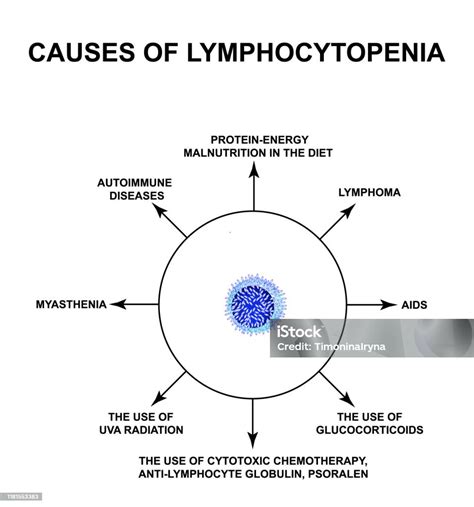 Causes Of Lymphocytopenia Decreased Lymphocytes In The Blood ...