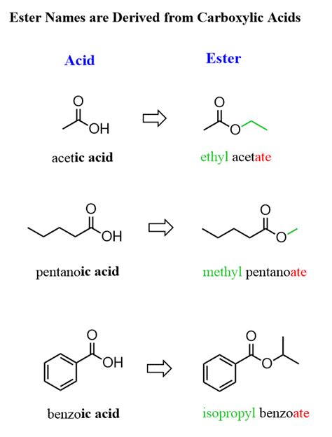 Ester Functional Group Examples