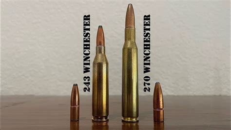 243 Vs 270 Winchester Review Comparison, 53% OFF