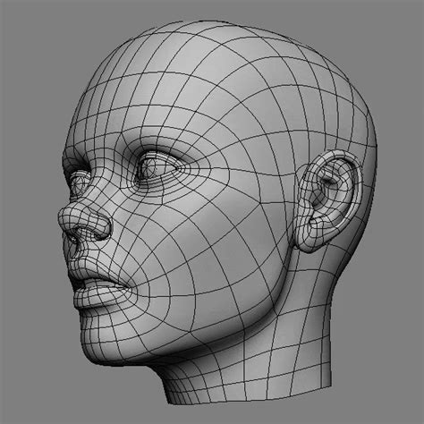 Modeling – 3D male head shape #2 | Media Project – 3rd Year