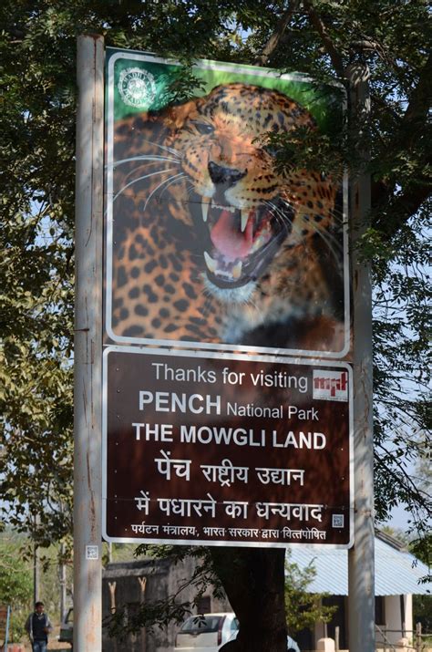 Travel Guide to Pench National Park and Pench Tiger Reserve