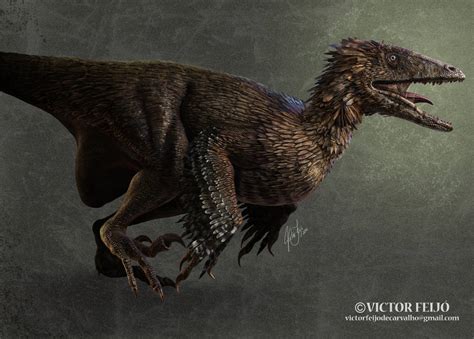 Deinonychus antirrhopus by victorfeijo on DeviantArt