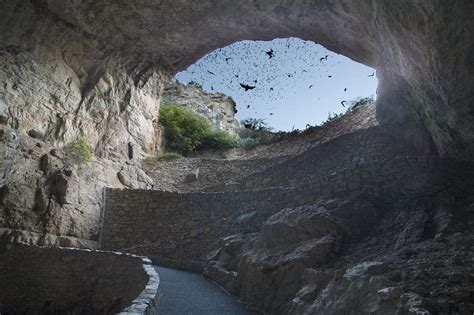 Bats in Caves (U.S. National Park Service)