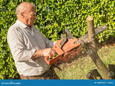 Senior Man Cutting Tree with Chainsaw Stock Image - Image of equipment ...