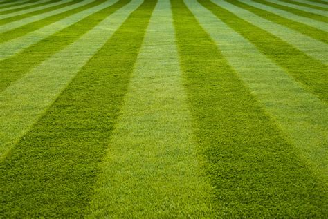 Mow Like a Pro: Lawn Striping and Lawn Patterns