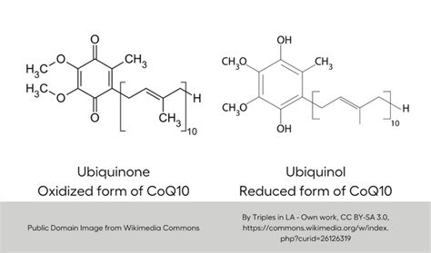 Ubiquinol vs. Ubiquinone: What's the Difference?