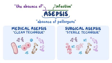 Medical and surgical asepsis (for nursing assistant training) - Osmosis ...