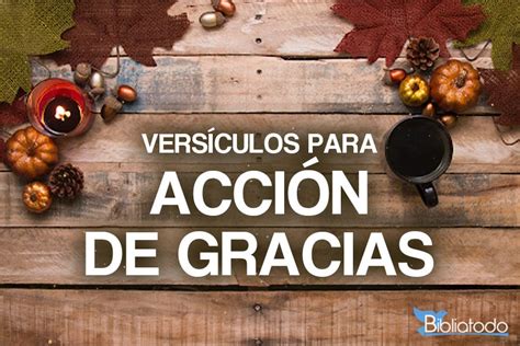 21 Versículos de la Biblia sobre Acción de Gracias