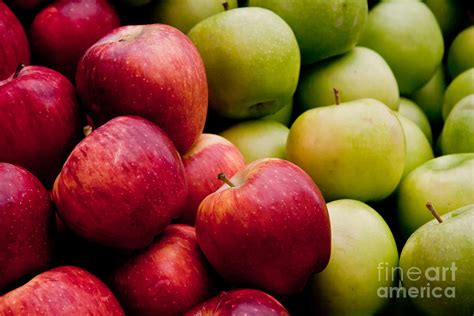 Fresh Organic Red And Green Apples Photograph by Leyla Ismet