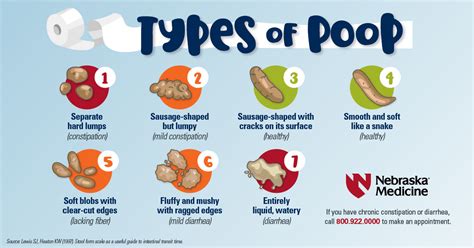 What does healthy poop look like? | Nebraska Medicine Omaha, NE