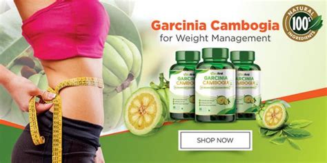 What is Garcinia Cambogia? Can it really help you burn fat?