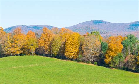 Advancements to Feature Forest Farmers' Innovative Farming Practices