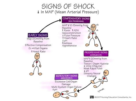 Signs of shock-First Aid Cadette Badge | Nursing mnemonics, Emergency ...