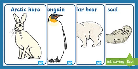 Polar Regions Animals Display Posters - Polar List - Twinkl