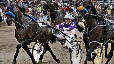 Harness Racing | TwinSpires