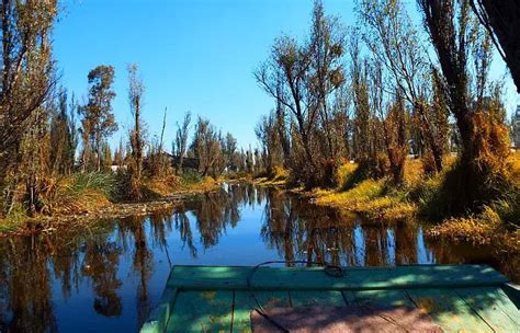 Mexico City's Island Life: Enchanting and Endangered