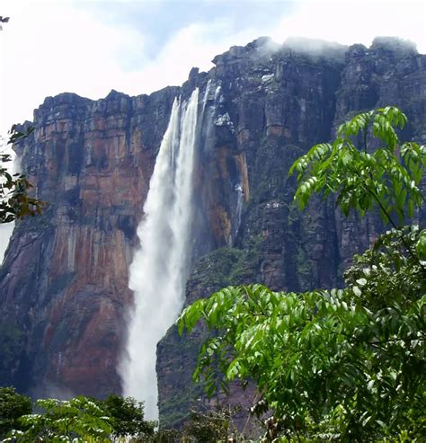 The Amazing Wildlife of Canaima National Park in Venezuela