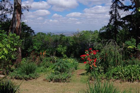 Zomba Plateau | Things to do in Zomba | Crafted Africa