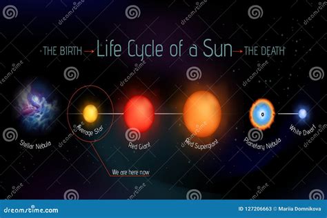 Our Sun Life Cycle