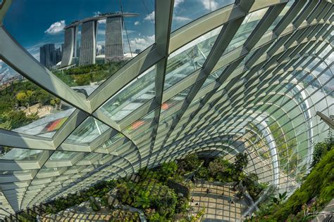 Inside the cloud forest dome, Singapore