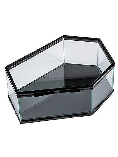 Glass Coffin Display Case Set of 2, Coffin Decorations|Darkside ...