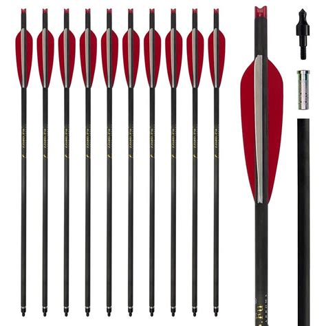 "Carbon Crossbow Bolts with Inserts, 20""L Arrow Hunting Archery, 12 ...