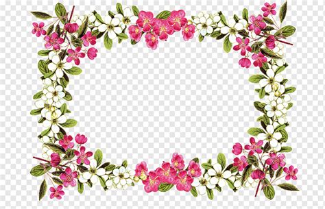 Flower, flowers and vines border material collectio, flower Arranging ...