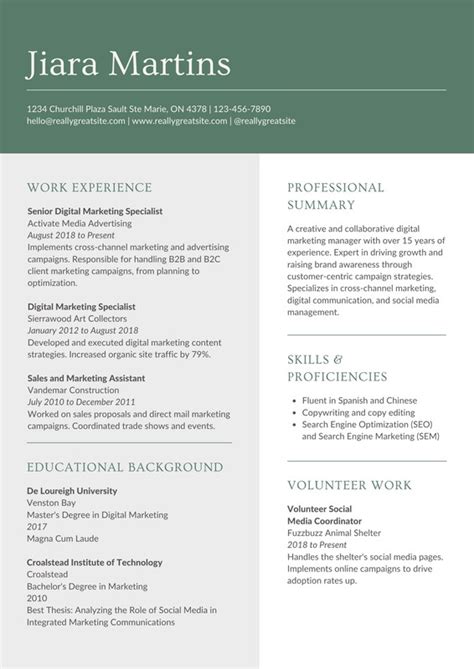 Free professional simple resume templates to customize | Canva