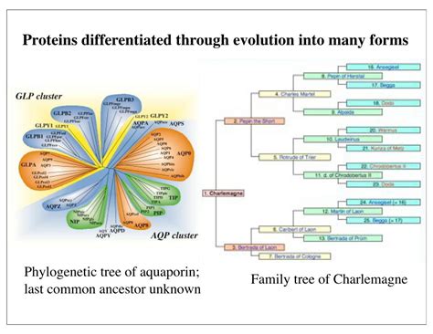 nanoHUB.org - Resources: [Illinois] Phys550 Lecture 28: Protein ...