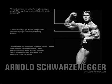 150+ Arnold Schwarzenegger Papéis de Parede HD e Planos de Fundo