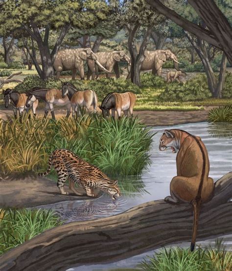 Épinglé par Eon Willemse sur Lost prehistoric worlds | Animaux ...