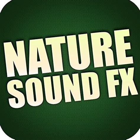 Amazon.com: Nature Sound Effects : Royalty Free Sound Effects Factory ...