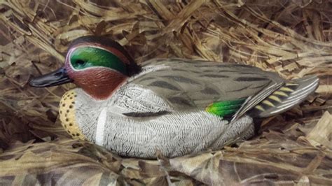 Dakota Decoy Greenwing Teal Decoys Pk/6 Hunting & Fishing Decoys