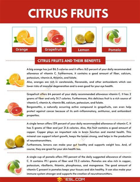 Citrus Fruits Names with Pictures • 7ESL