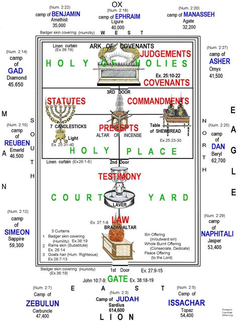 Printable Diagram Of The Tabernacle - General Wiring Diagram