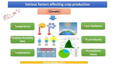 😀 What is factor production. Factors of Production (Resources). 2019-01-25