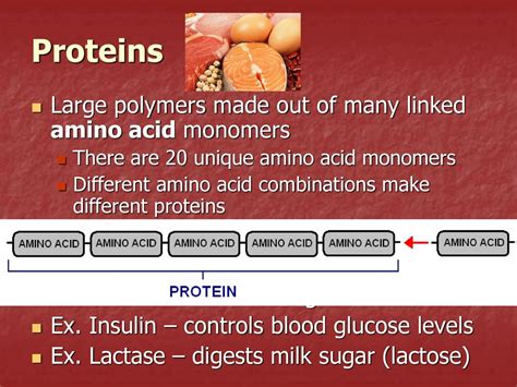 NOTES 8 – Polymers & Biochemical Compounds - ppt download