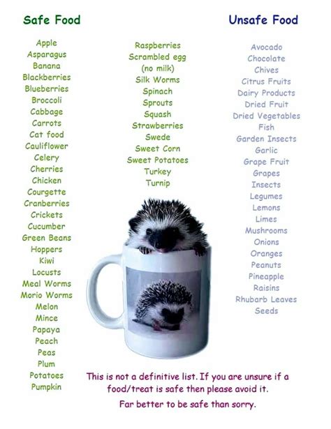 "Hedgehog Safe and Unsafe Food List!" | Hedgehog food, Hedgehog pet ...