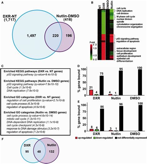 Gene expression analysis following various treatments. (A) Number of ...