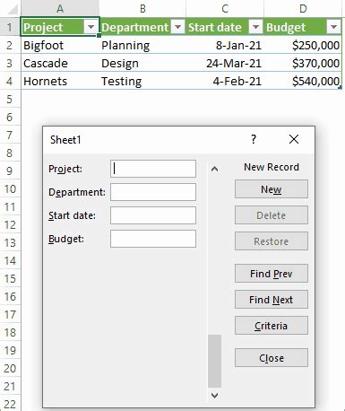 How to create and use Data Entry Form in Excel