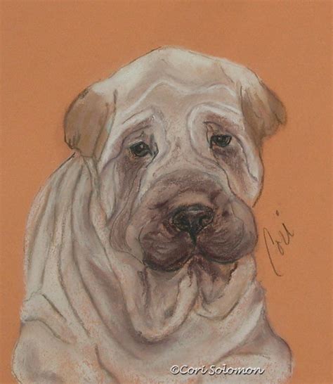 Shar Pei: Wrinkles - Cori's Pawtraits