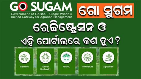 Go Sugam Odisha - How to Register at Go Sugam Portal Odisha? Schemes ...