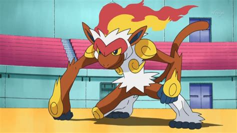 Ash's Infernape | Pokémon Wiki | Fandom powered by Wikia