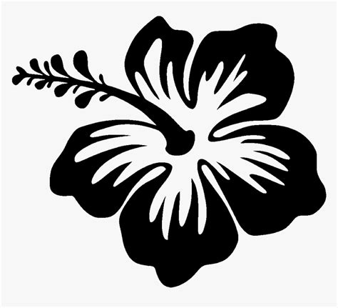 Silhouette Drawing Hibiscus - Hibiscus Flower Silhouette, HD Png ...