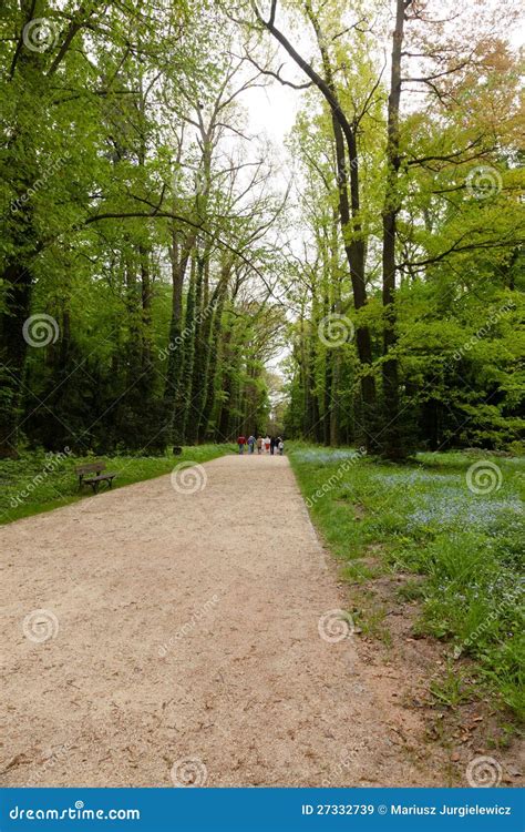 Kornik Arboretum stockbild. Bild von wohnsitz, touristisch - 27332739