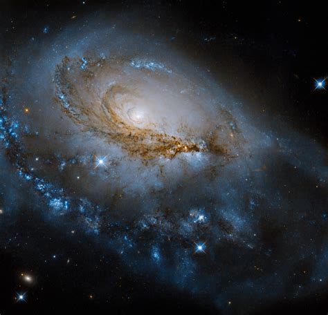 Hubble Focuses on Enormous Spiral Galaxy: NGC 1961 | Sci.News