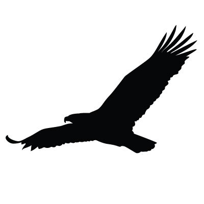 Soaring Eagle Silhouette at GetDrawings | Free download