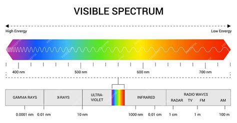 Premium Vector | Spectrum wavelength Visible spectrum color range ...